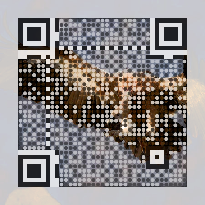 QR code containing a color photo of an eagle in flight